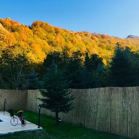 Caglayan * Sapanca