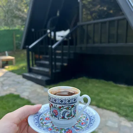 샬레 Caglayan 사판자