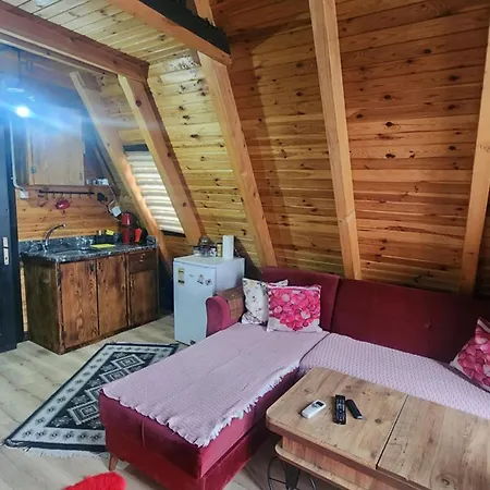çağlayan Dağ evi *