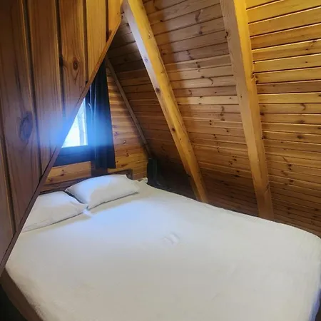 Chaletu Caglayan *